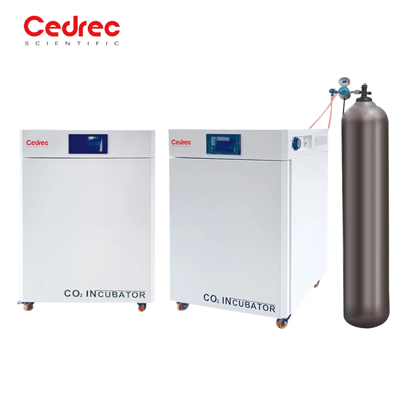 Laboratoryjna Mikrobiologiczna – Incubator Co2 Lab recenzja i cena